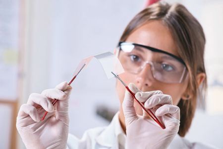 石墨烯釣竿價格是多少？